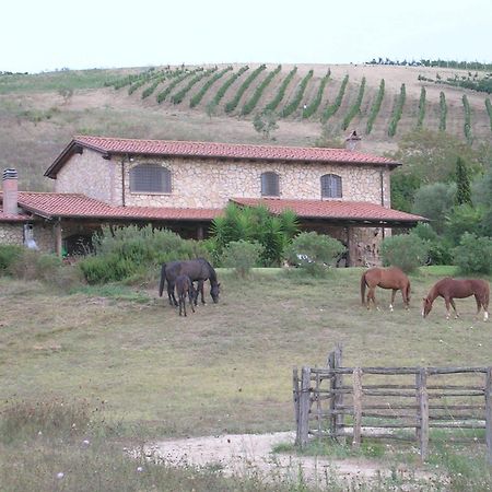 Casale Farnesiana B&B Tarquinia Dış mekan fotoğraf