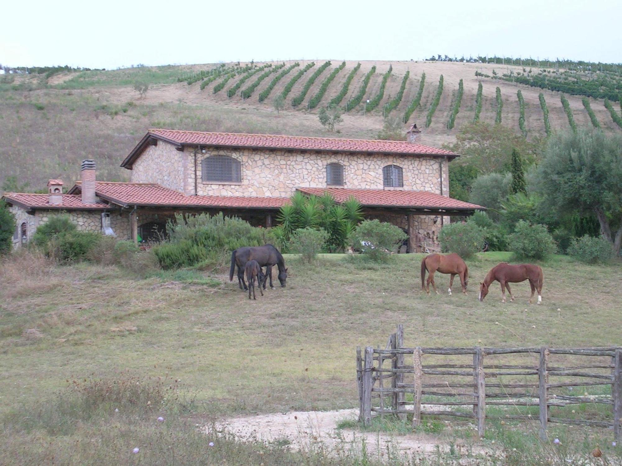 Casale Farnesiana B&B Tarquinia Dış mekan fotoğraf