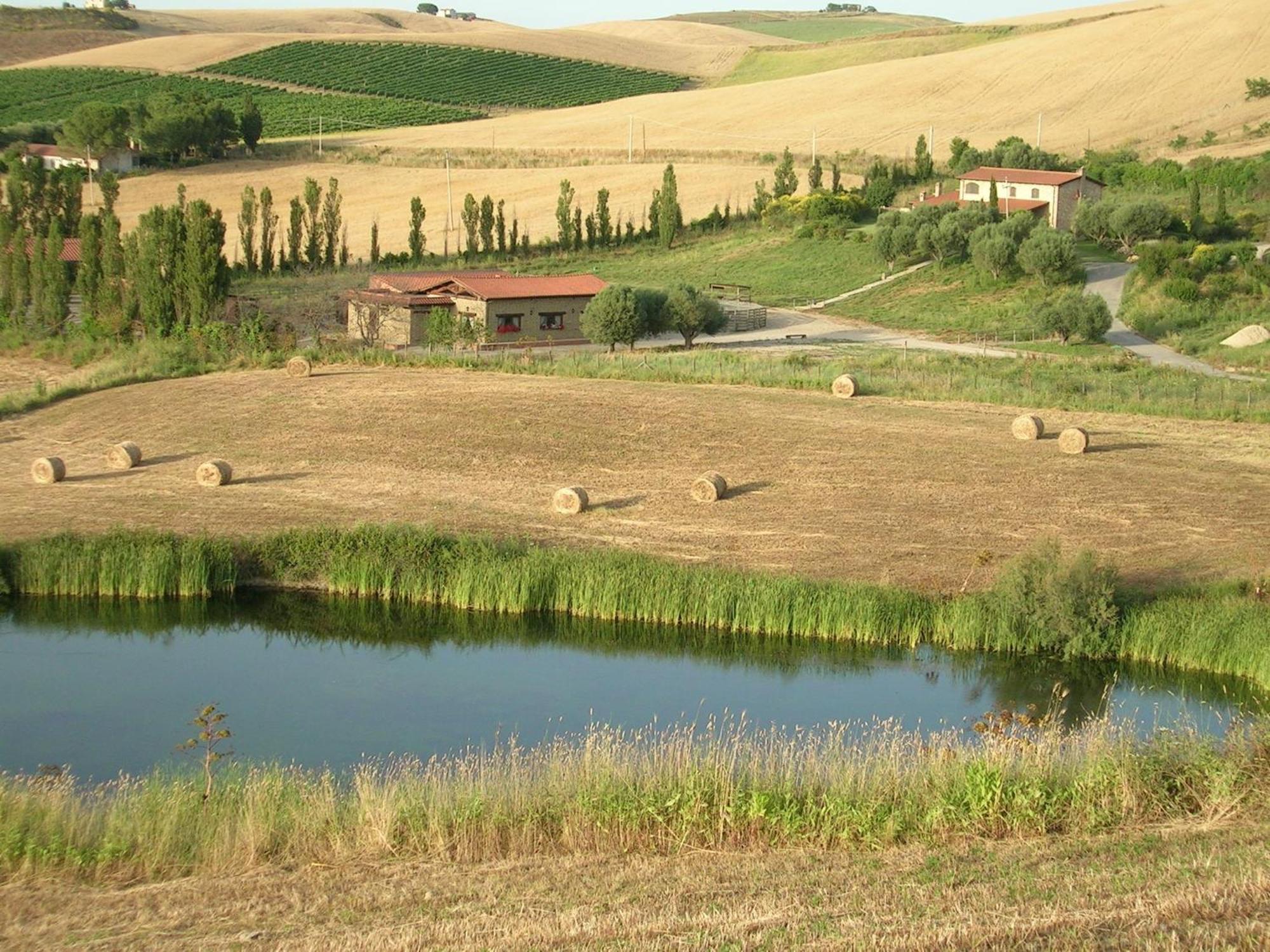 Casale Farnesiana B&B Tarquinia Dış mekan fotoğraf