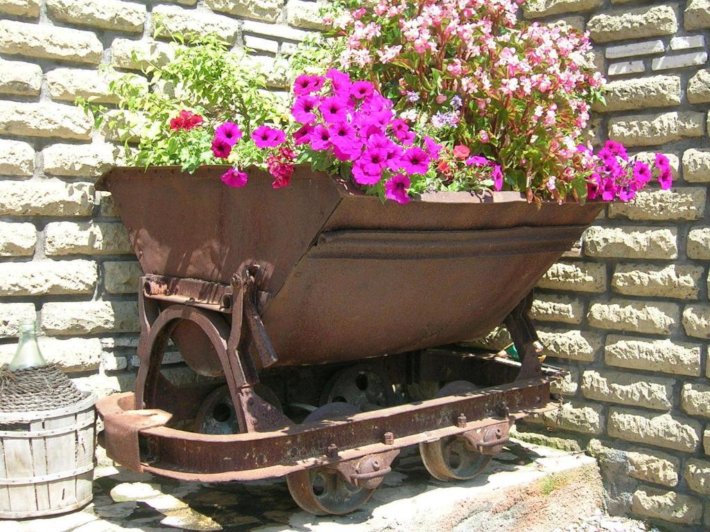 Casale Farnesiana B&B Tarquinia Dış mekan fotoğraf
