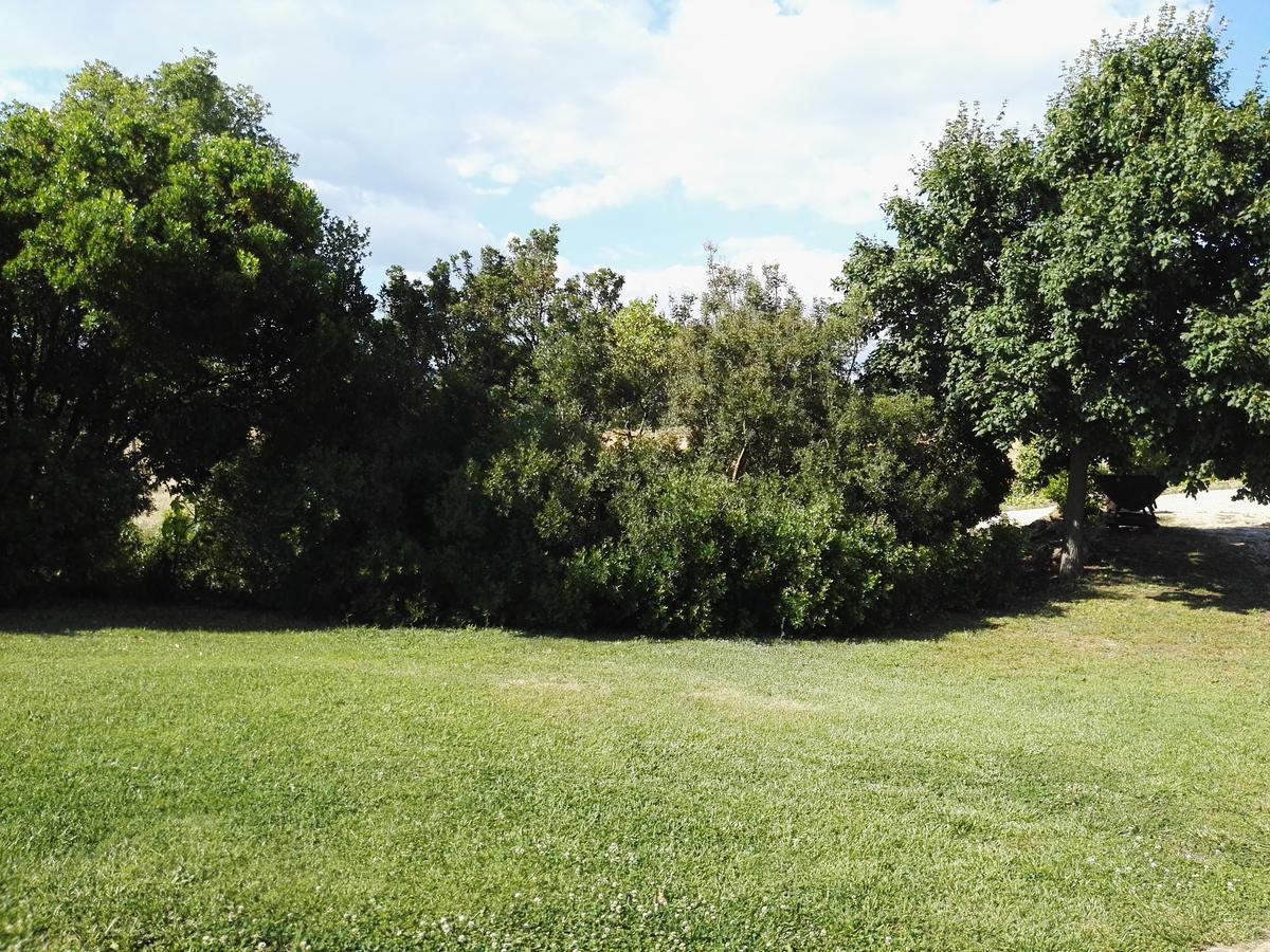 Casale Farnesiana B&B Tarquinia Dış mekan fotoğraf