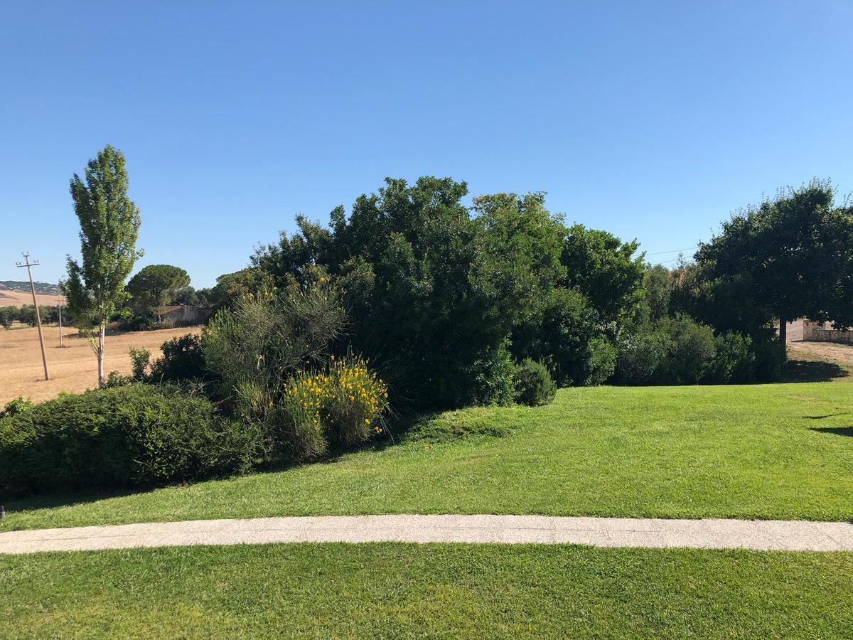 Casale Farnesiana B&B Tarquinia Dış mekan fotoğraf